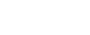 logo dpsa blanc