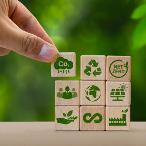 concept-of-carbon-credit-reducing-carbon-emissions-2024-01-31-14-11-30-utc